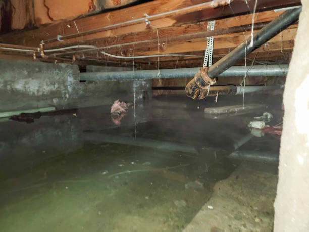 Best 24/7 water damage repair  in Kirksville, MO