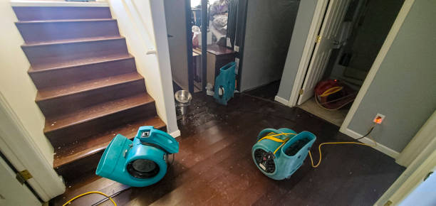 Best Flooded house restoration  in Kirksville, MO