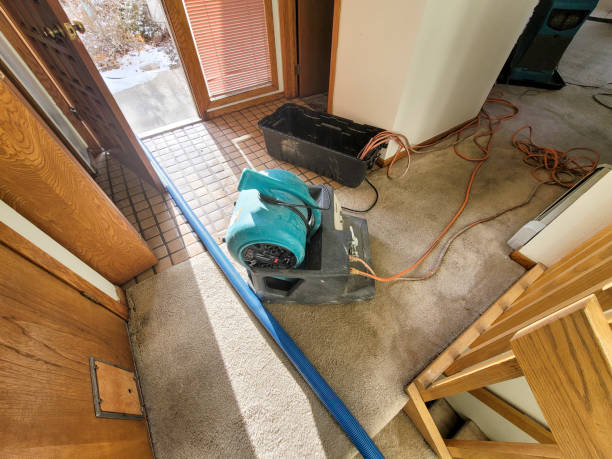 Best Flood damage cleanup  in Kirksville, MO