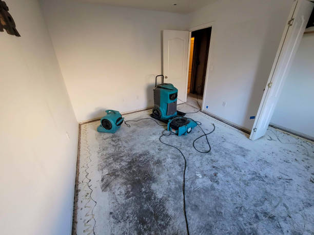 Best Residential water damage restoration  in Kirksville, MO