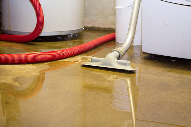 Best Flood damage cleanup  in Kirksville, MO